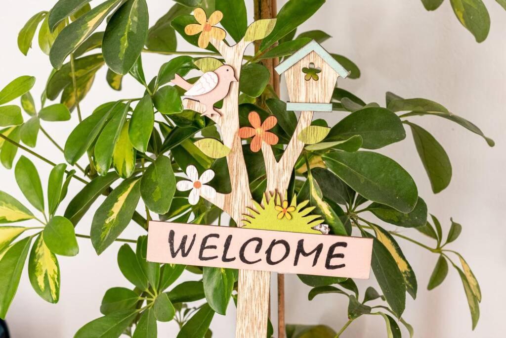Meandros Apartment Garden View スコペロス エクステリア 写真