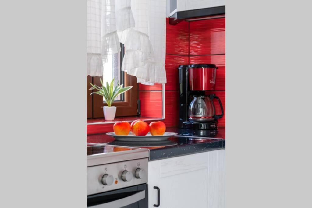 Meandros Apartment Garden View スコペロス エクステリア 写真