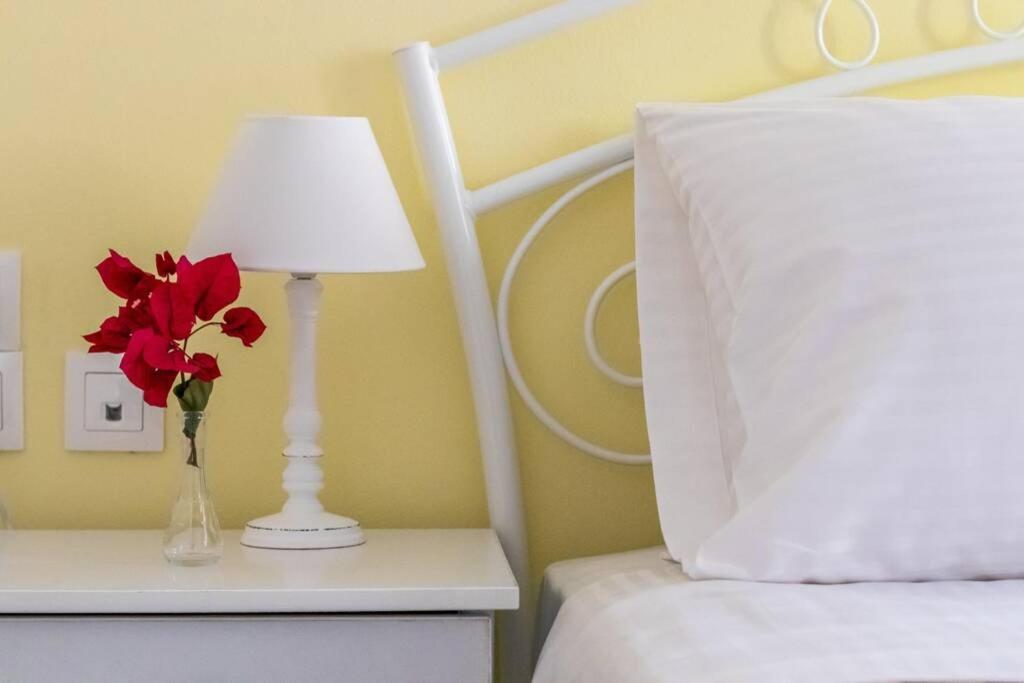 Meandros Apartment Garden View スコペロス エクステリア 写真