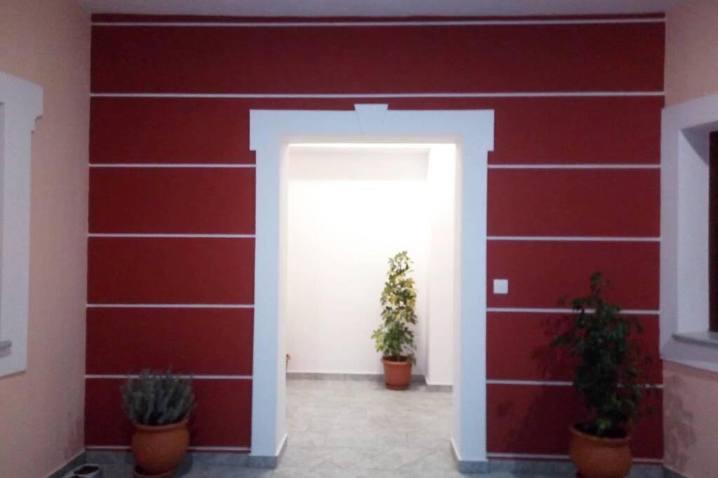 Meandros Apartment Garden View スコペロス エクステリア 写真